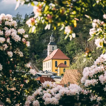 דירה 60er Jahre Design - 65qm Im Zittauer Gebirge - Familienfreundliche Am Bergfuss Zum Toepfer